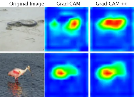 Figure 1: Grad-CAM and Grad-CAM ++ output (localization capability of an object in an image)