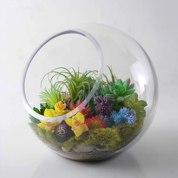 A Glass model with the herb features